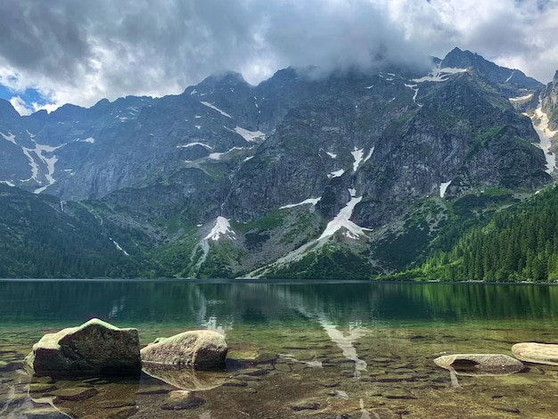 WPS下载后无法登录指南:解决方案大揭秘2025年 一