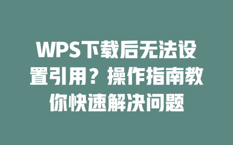 WPS下载后无法设置引用?操作指南教你快速解决问题 二