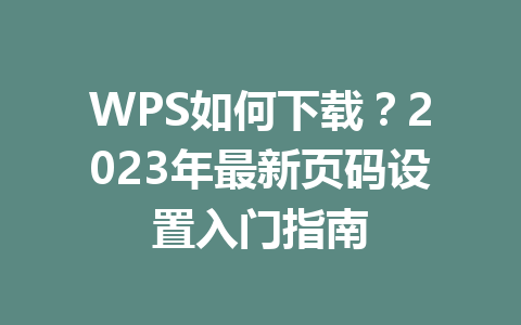 WPS如何下载?2023年最新页码设置入门指南 二