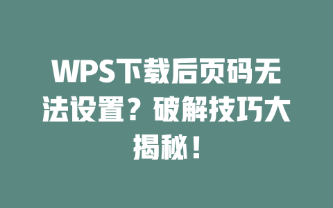 WPS下载后页码无法设置？破解技巧大揭秘！ 二