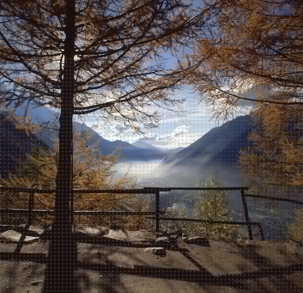 WPS下载后无法协作编辑?全流程解决方案图解 一