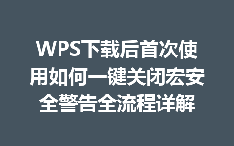 WPS下载后首次使用如何一键关闭宏安全警告全流程详解 二