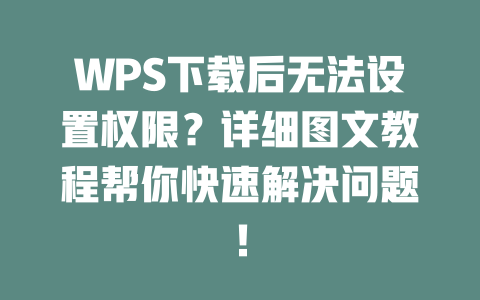 WPS下载后无法设置权限?详细图文教程帮你快速解决问题! 二
